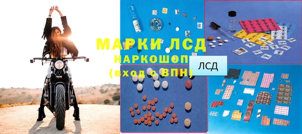 винт Анива