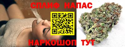 МДПВ Апрелевка