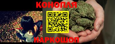 стафф Кимры