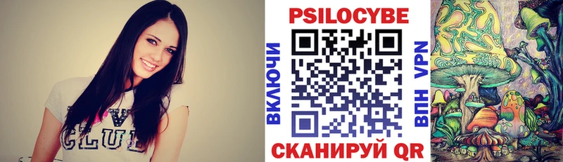 Псилоцибиновые грибы прущие грибы  Чернушка 