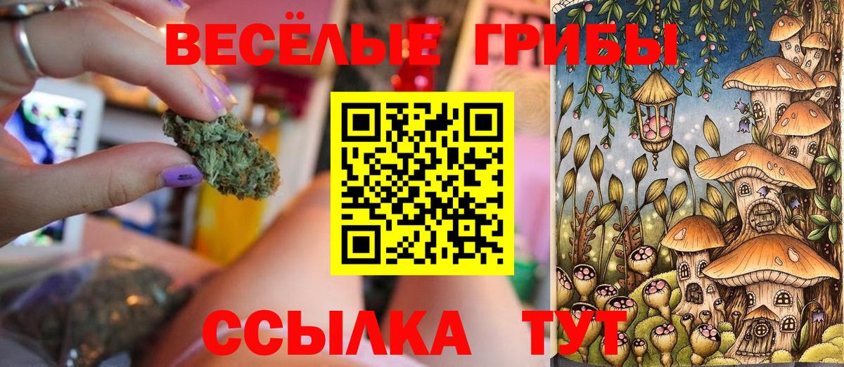 Галлюциногенные грибы GOLDEN TEACHER  Вход с VPN  Чернушка 