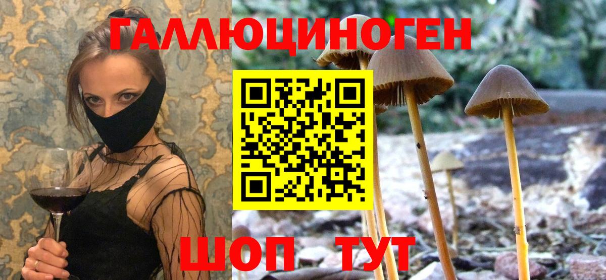 Псилоцибиновые грибы прущие грибы Чернушка