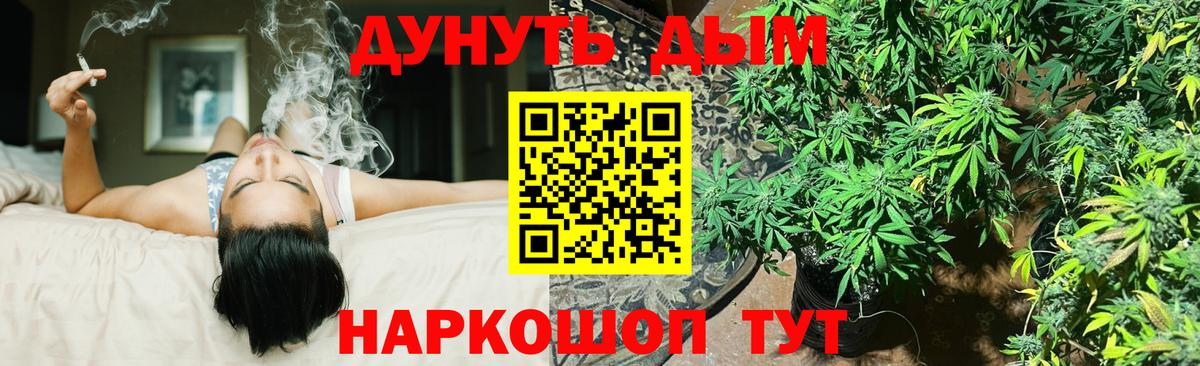 МАРИХУАНА OG Kush Чернушка